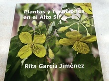 Imagen no disponible