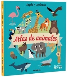 Imagen no disponible