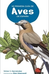 Imagen no disponible