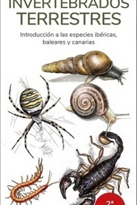 Imagen no disponible
