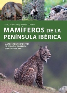 Imagen no disponible