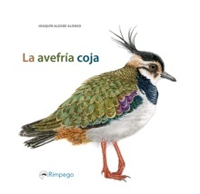 Imagen no disponible