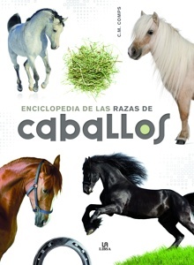 Imagen no disponible