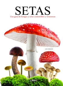 Imagen no disponible